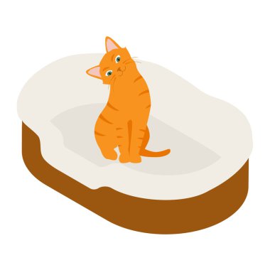 Beyaz arka planda izole edilmiş yumuşak yatak yastığındaki kızıl kedi. Isome Manzarası. raster