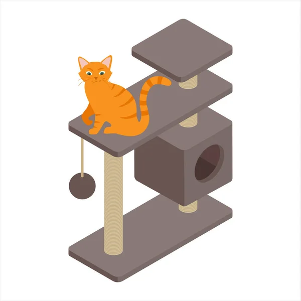 Niedliche Ingwer Katze Spielt Auf Baum Hause Vereinzelt Auf Weißem — Stockfoto