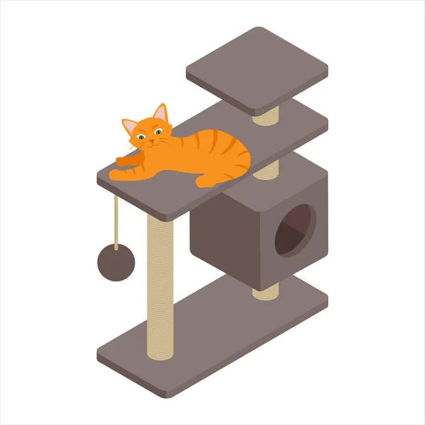 Cute Ginger Cat Playing Tree Home Isolated White Background Isometric — Stock Photo, Image