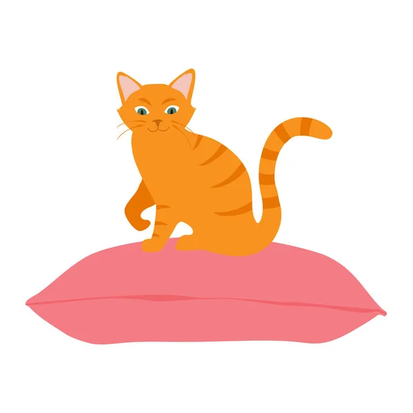 Χαριτωμένο Πορτοκαλί Γάτα Κάθεται Άνετα Στο Μαξιλάρι Μαξιλάρι Χαριτωμένο Κατοικίδιο — Φωτογραφία Αρχείου