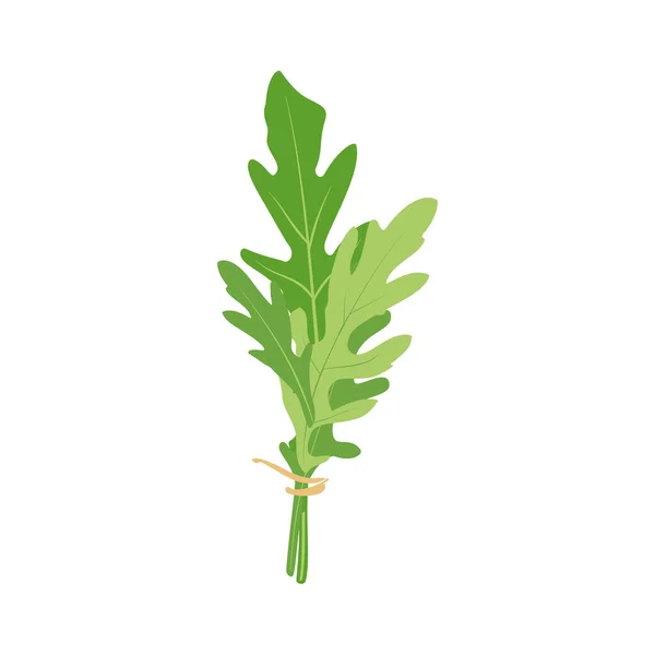 Groene Verse Rucola Bladeren Geïsoleerd Witte Achtergrond Raketsalade Rucola Raster — Stockfoto