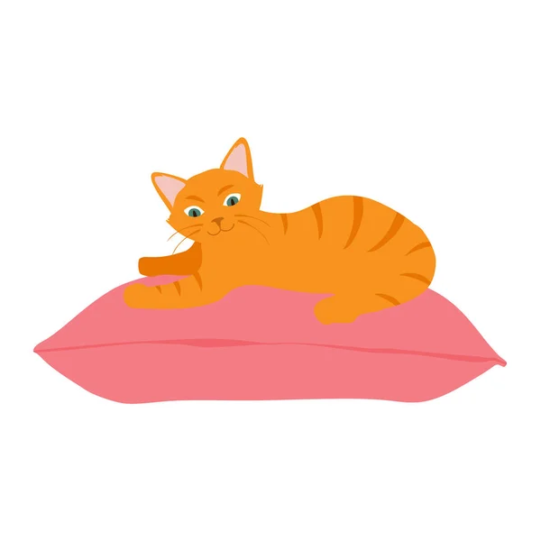 Roztomilá Oranžová Kočka Sedí Pohodlně Polštáři Roztomilé Zvířátko Rastr — Stock fotografie