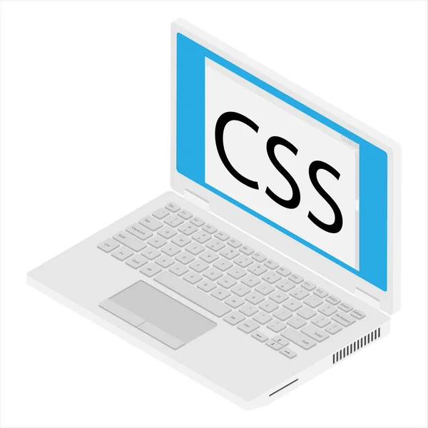 Raster Laptop Kodningskoncept Webbutvecklare Design Programmering Kod För Bärbar Dator — Stockfoto