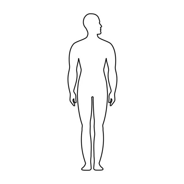 Anatomía Masculina Personaje Humano Vista Frontal Lateral Silueta Corporal Aislado — Foto de Stock