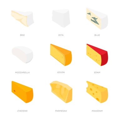 Çeşitli peynir çeşitleri. raster illüstrasyonu