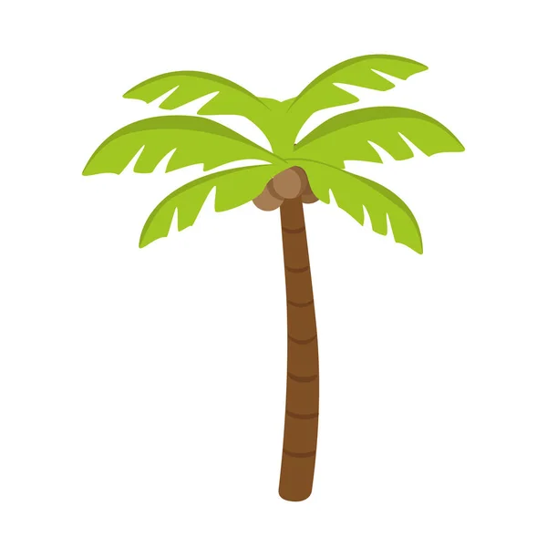 Palm Boom Vectorillustratie Geïsoleerd Witte Achtergrond — Stockvector