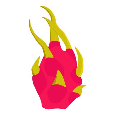 Beyaz arka planda izole edilmiş lezzetli Pitahaya ejderha meyvesi. Vektör