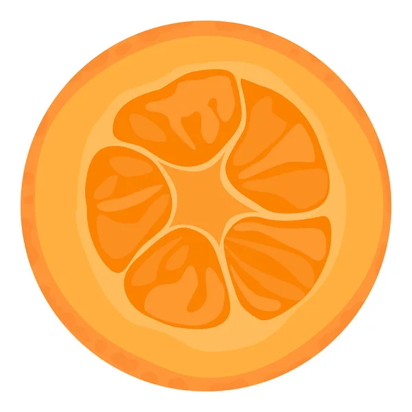 Skär Skivade Kumquat Eller Kumquat Frukt Isolerad Vit Bakgrund Vektor — Stock vektor