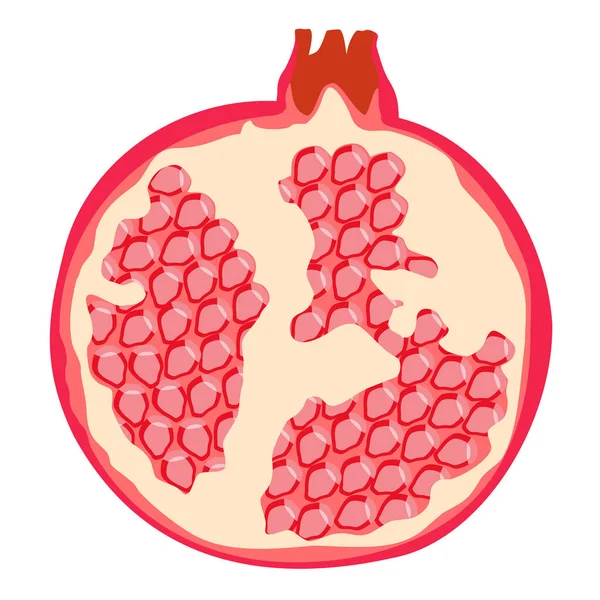 Frischer Reifer Granatapfel Isoliert Auf Weißem Hintergrund Scheiben Geschnittene Granatapfelfrüchte — Stockvektor
