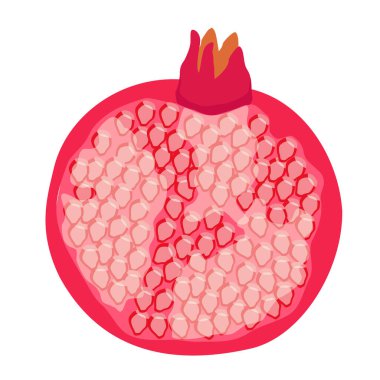 Beyaz arka planda taze olgun nar izole edilmiş. Dilimlenmiş nar meyvesi. Vektör