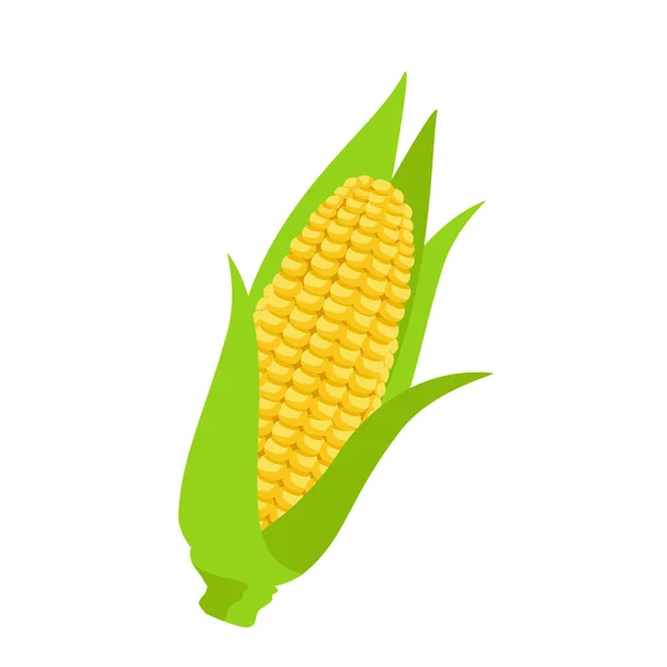 Corncob Isolated White Background Sweet Golden Corn Vector — Stock Vector