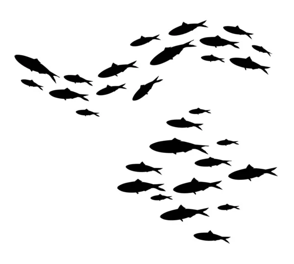 Ecole Poissons Silhouette Groupe Poissons Mer Colonie Petits Poissons Vecteur — Image vectorielle