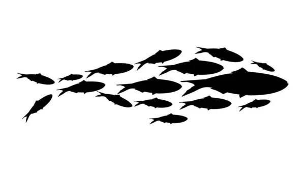 Szkoła Ryb Sylwetka Grupy Morskich Ryb Kolonia Małych Ryb Sylwetka — Wektor stockowy