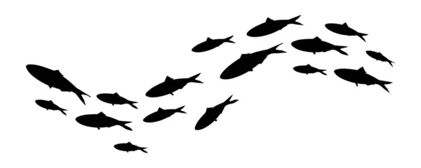 Fischschwärme Silhouette Einer Gruppe Von Meeresfischen Kolonie Von Kleinen Fischen — Stockvektor