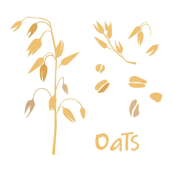 Cereal Plants Agriculture Industry Organic Products Oat Flakes Oatmeal Packaging — Stock vektor