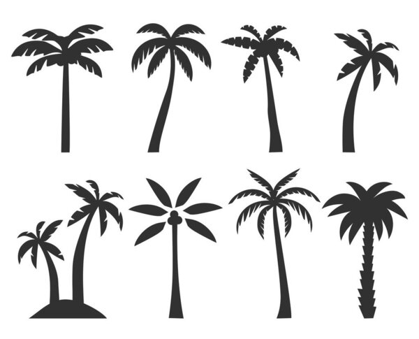 Черные пальмы установлены изолированы на белом фоне. Силуэты пальм. Дизайн пальм для плакатов, баннеров и рекламных материалов. Векторная иллюстрация