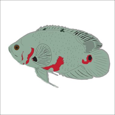 Siyah kaplan Oscar kırmızı bant beyaz arka planda çizim yapıyor. Oscar 'ın vücudunda kırmızı bantlar var.