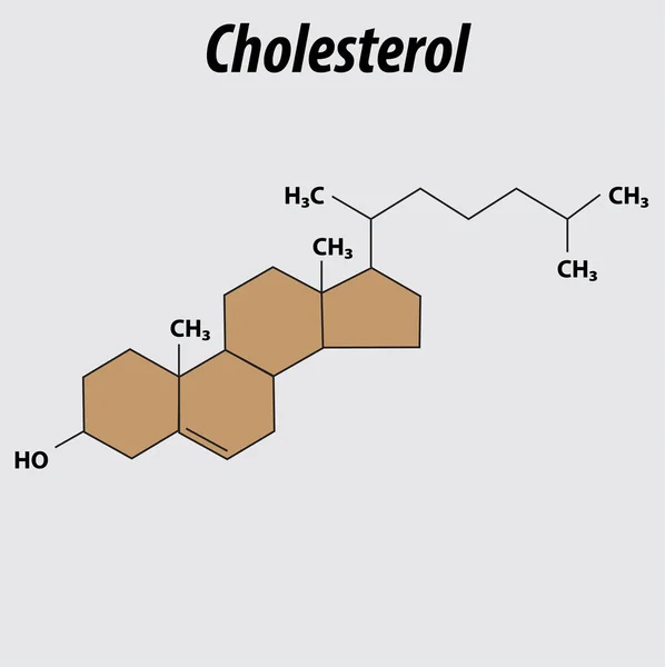 Chemical Structure Cholesterol Vector Graphic Layers — Vector de stock