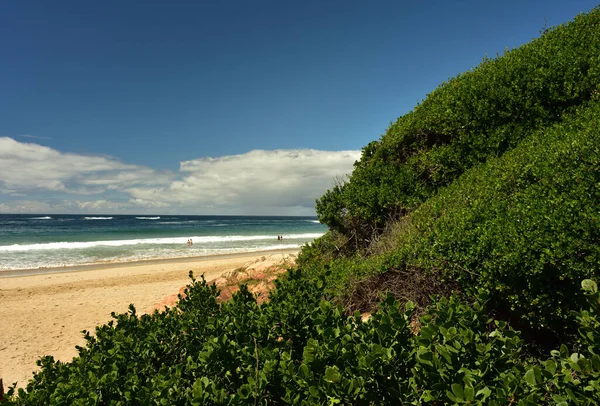 Ein Strand Dünenvegetation Und Wolkenkratzer Blauem Himmel Treffen Auf Unkenntliche — Stockfoto