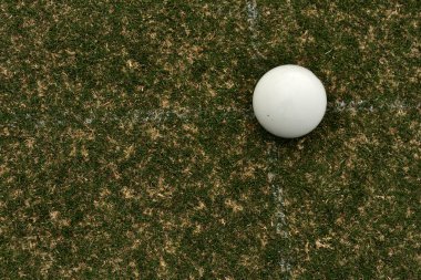 Çimen bowlingindeki beyaz top hedeftir ve Jack olarak bilinen atıcılar için