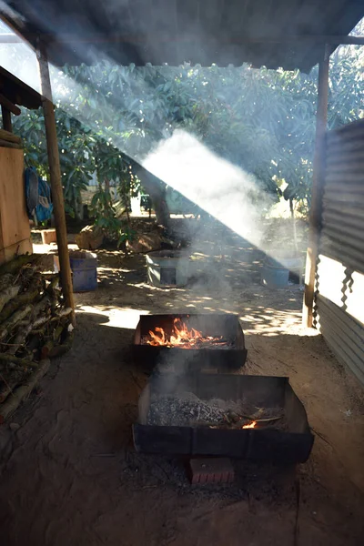 Kömür için alevler barbekü için kullanılacak ve güneş ışınları dumanı aydınlatıyor.