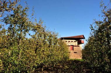 Mavi gökyüzü olan bir armut bahçesinde tarihi bir blok evi.