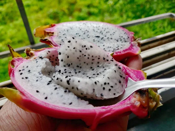 Eating White Dragon Fruit Spoon Dragon Fruit Tropical Fruit Skin — Stockfoto