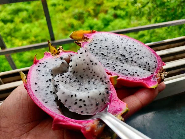Eating White dragon fruit with a spoon, dragon fruit is a tropical fruit, skin is soft with scales and pink in colour, whereas the flesh is white with small, black edible seeds