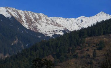 Himachal Pradesh Hindistan 'da karla kaplı dağları ve yüksek ağaçları olan koyu mavi gökyüzü.