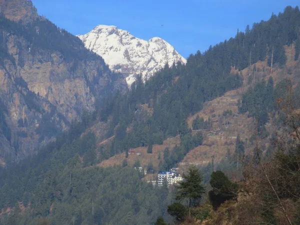 Cielo Blu Scuro Con Montagne Innevate Alberi Alti Himachal Pradesh — Foto Stock