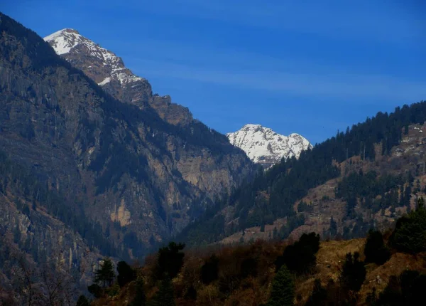 Cielo Blu Scuro Con Montagne Innevate Alberi Alti Himachal Pradesh — Foto Stock