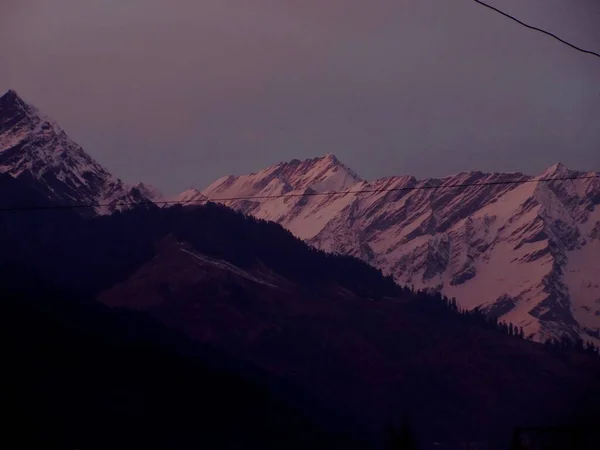 Pembe Gök, karla kaplı dağlar ve Himachal Pradesh Hindistan 'daki uzun ağaçlar.