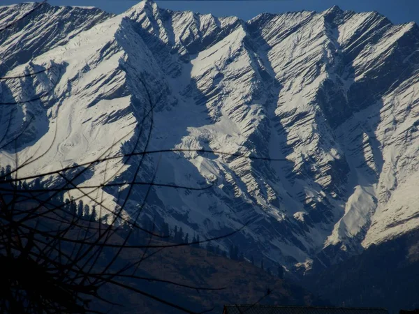 Mattina Presto Montagne Innevate Alberi Alti Himachal Pradesh India — Foto Stock