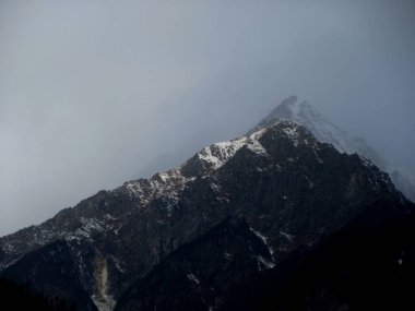Kara bulutlu gökyüzü, karla kaplı dağlar ve Himachal Pradesh Hindistan 'daki yüksek ağaçlar.
