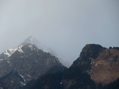 Kara bulutlu gökyüzü, karla kaplı dağlar ve Himachal Pradesh Hindistan 'daki yüksek ağaçlar.