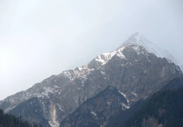 ヒマハル プラデーシュ州の雪に覆われた山々と背の高い木がある暗い曇りの空インド — ストック写真