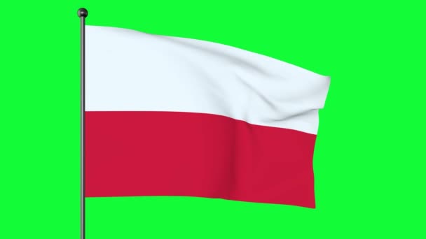 Zöld Képernyő Illusztráció Lengyel Nemzeti Zászló Két Egyenlő Szélességű Vízszintes — Stock videók