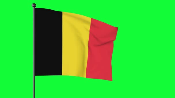 Belga Nemzeti Zászló Zöld Képernyője Egy Trikolor Amely Három Egyenlő — Stock videók