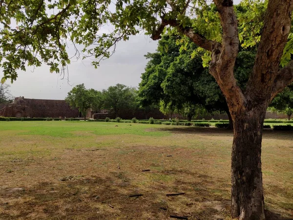 Zahrada Feroz Shah Kotla Nebo Kotla Byla Pevnost Postavená Feroz — Stock fotografie