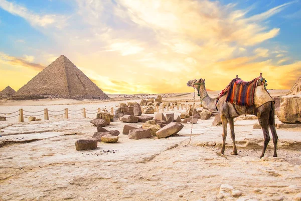 Mısır Giza Şehrinde Firavun Keops Khafren Mikerin Piramitlerinin Arka Planına — Stok fotoğraf