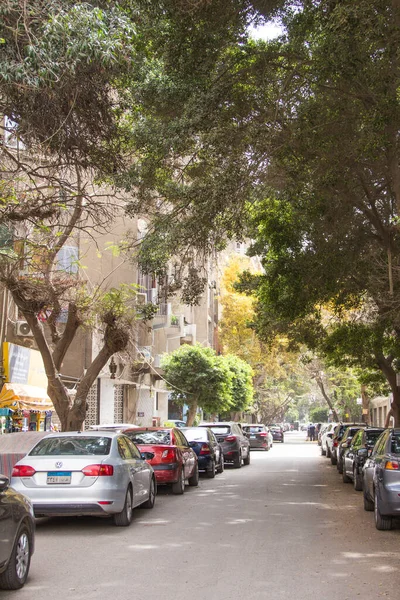 Cairo Egypt December 2021 Zicht Een Drukke Straat Wijk Zamalek — Stockfoto