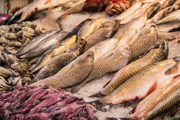 Trade stalls at the Central Fish Market in Cairo, Egypt