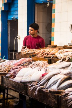 CAIRO, EGYPT - 29 Aralık 2021: Kahire, Mısır 'daki Central Fish Market' te satıcı