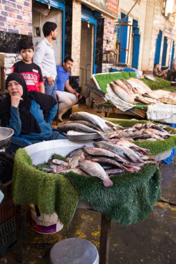 CAIRO, EGYPT - 29 Aralık 2021: Kahire, Mısır 'daki Central Fish Market' te satıcı
