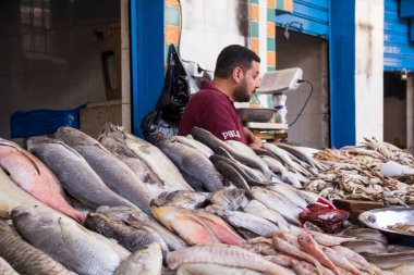 CAIRO, EGYPT - 29 Aralık 2021: Kahire, Mısır 'daki Central Fish Market' te satıcı