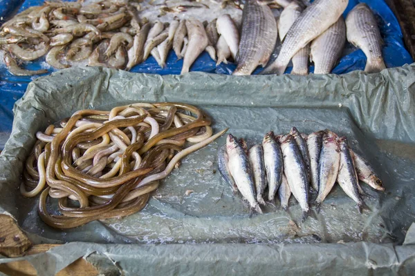 Lojas Mercado Central Peixes Cairo Egito — Fotografia de Stock