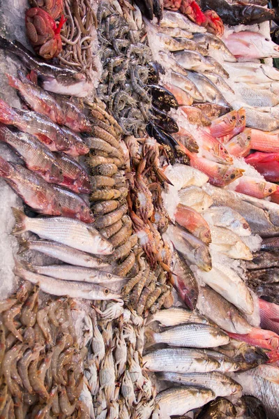 Trade stalls at the Central Fish Market in Cairo, Egypt