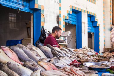 CAIRO, EGYPT - 29 Aralık 2021: Kahire, Mısır 'daki Central Fish Market' te satıcı