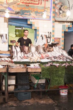 CAIRO, EGYPT - 29 Aralık 2021: Kahire, Mısır 'daki Central Fish Market' te satıcı