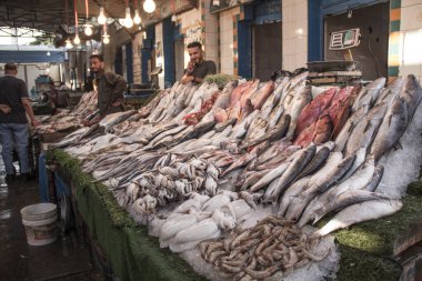 CAIRO, EGYPT - 29 Aralık 2021: Kahire, Mısır 'daki Central Fish Market' te satıcı